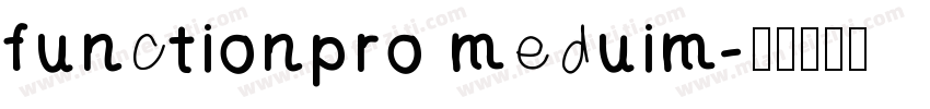 functionpro meduim字体转换